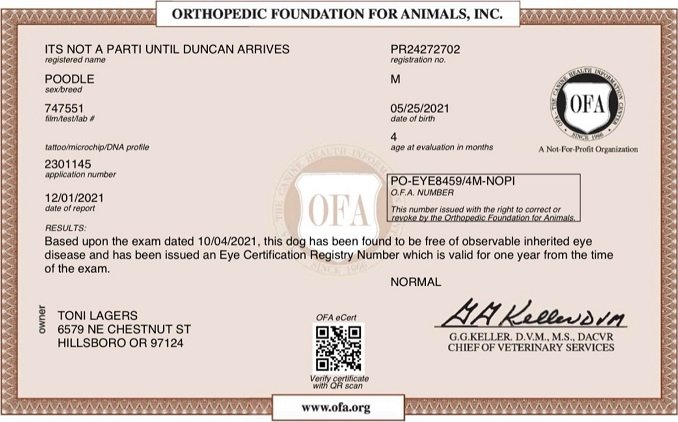 Jaxon's OFA Results 1