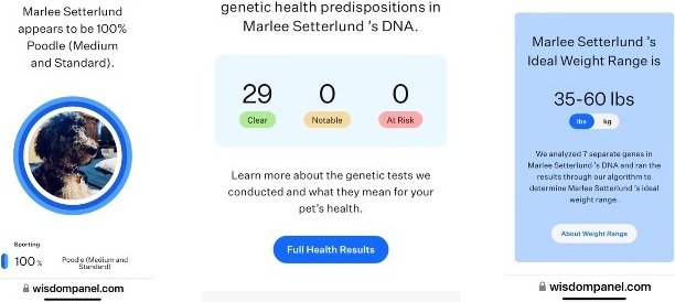 Marlee's DNA Results